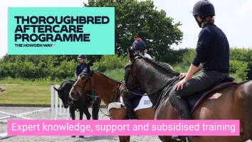 TAP<span class="sr-only">; opens in a new window </span>