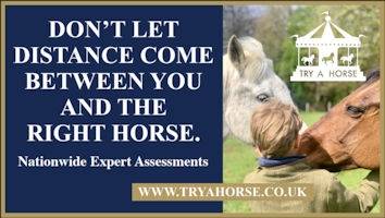 TryAHorse<span class="sr-only">; opens in a new window </span>