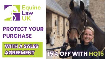 Equine Law<span class="sr-only">; opens in a new window </span>